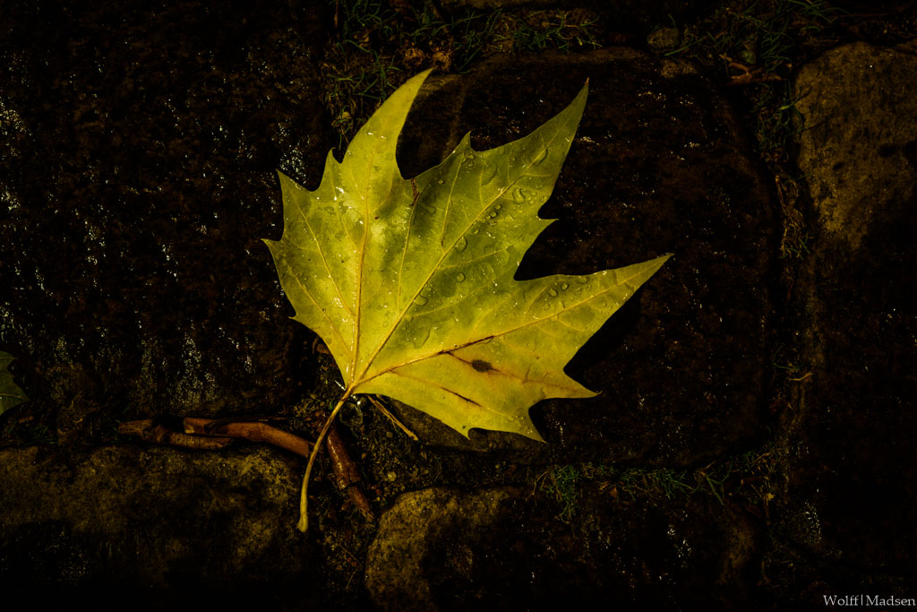 The Final Image: A detail